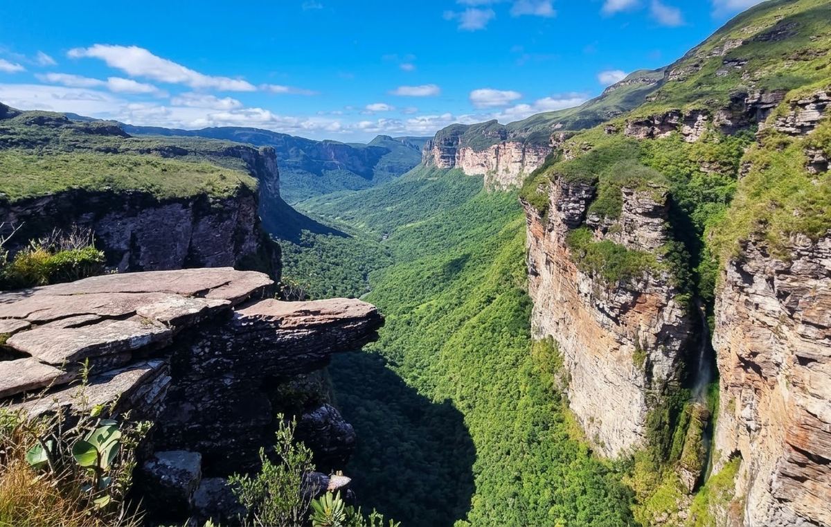 Canyon du Vale do Pati vu depuis une corniche rocheuse, avec le fond de vallée verdoyant et les falaises de grès